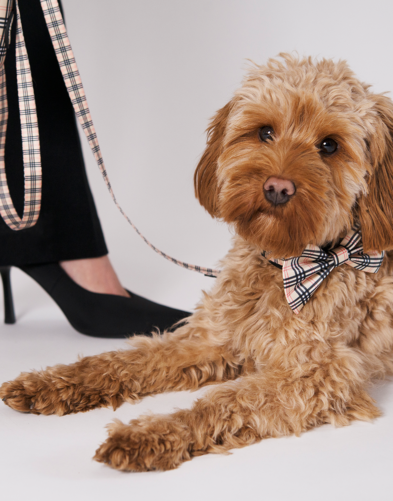 20652, 20653, 20662, 20663.png