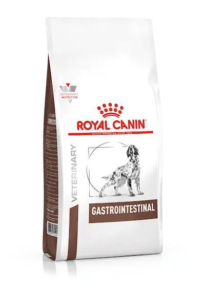 Gastro Intestinal torrfoder för hund