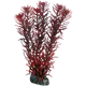 Eusteralis Red 20 cm