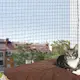 Trixie Protective Net Balcony