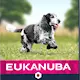Eukanuba Hund Senior Medium 15 kg