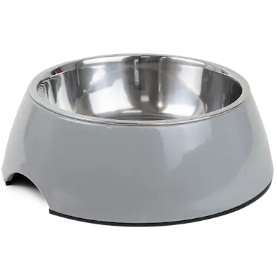 Food bowl Solid Gray L