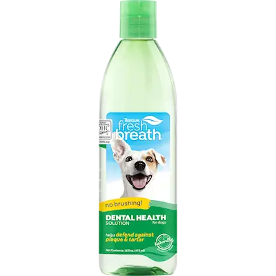 Fresh Breath Dental Health Solution