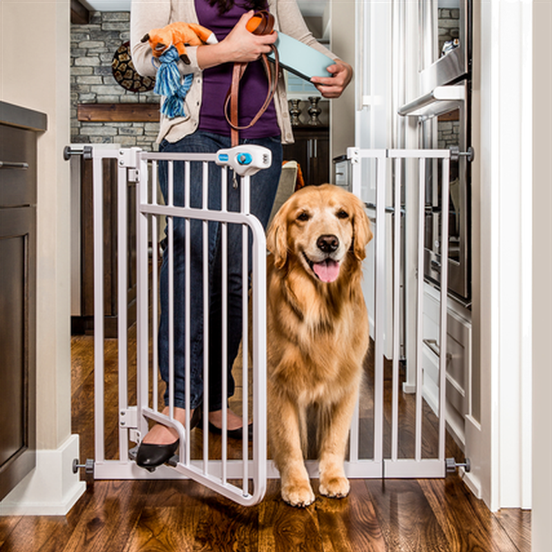 Carlson - Pet Gate Hands-Free Walk-Through White 76-112 x 81 cm - Hund - ZOO.se
