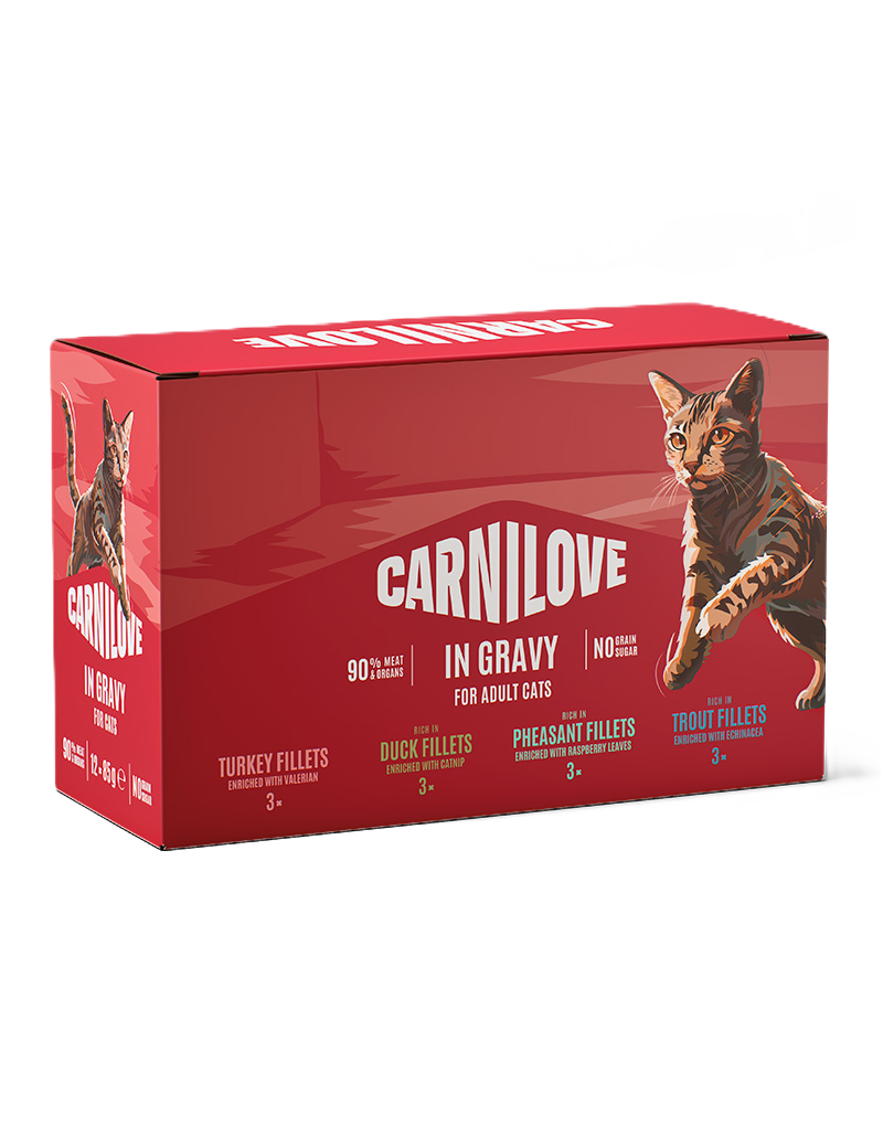 Cat Pouch Gravy Multipack 12x85g