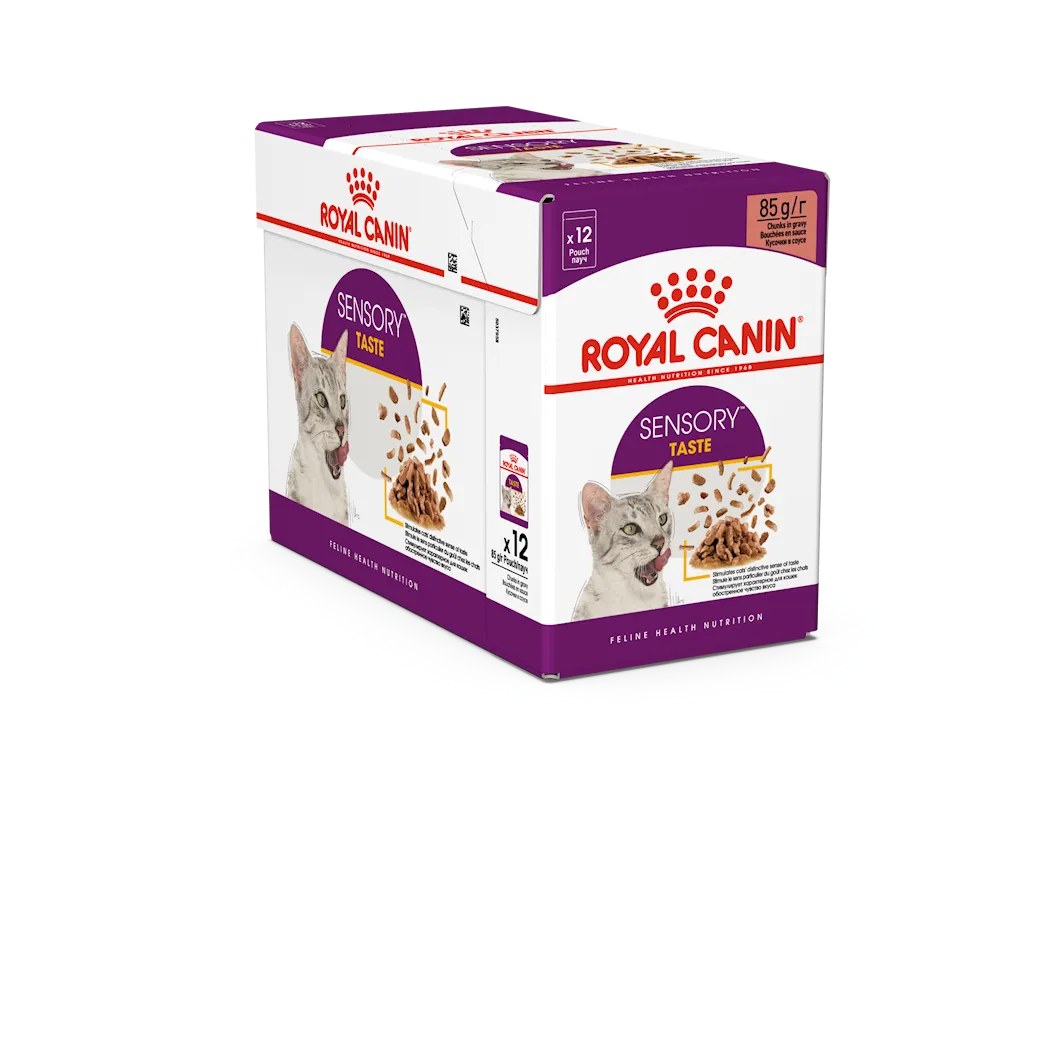 Royal Canin Feline Sensory Taste Gravy 85 g x 12 stk - porsjonsposer