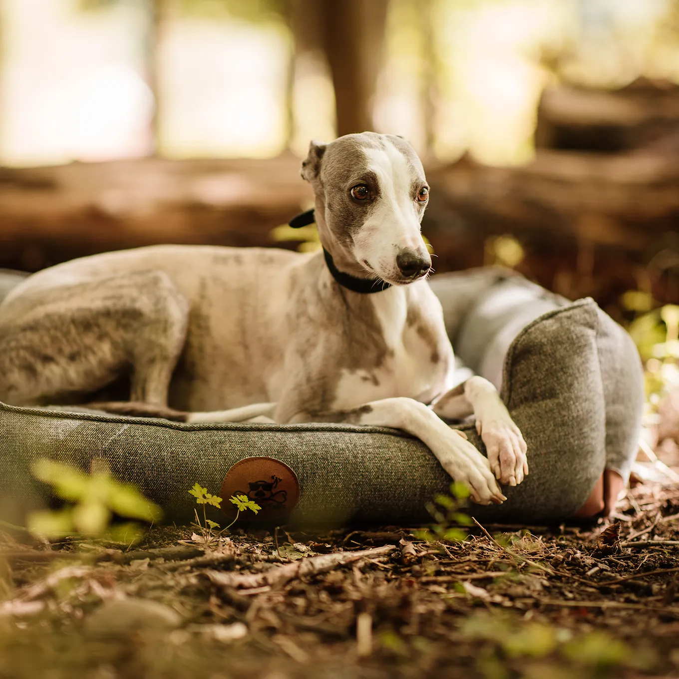 Swaggin Tails Sömnig Dog Bed Space Grey 5.jpg