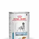 Royal Canin Veterinary Diets Dog Derma Sensitivity Control Chicken Can våtfoder för hund