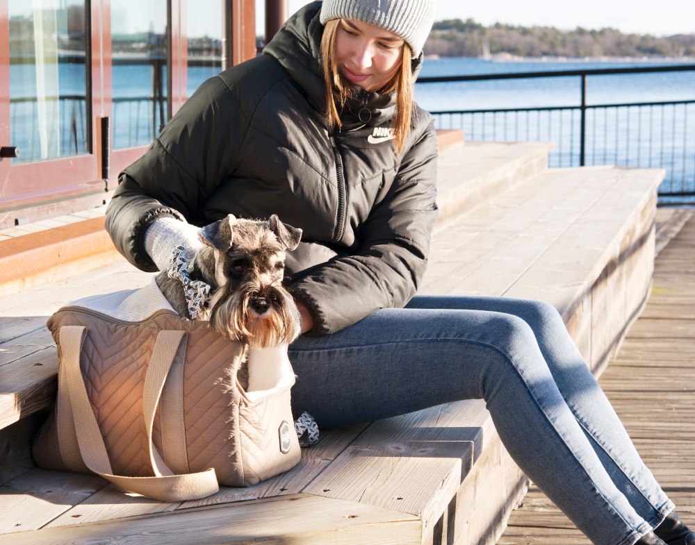 20529, 20668, 20669, 20658.png