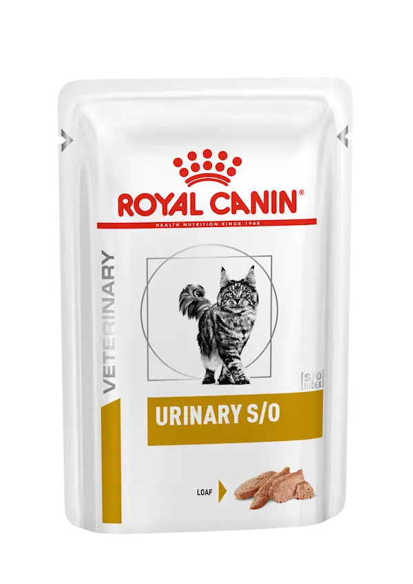 Urinary S/O Loaf Pouch våtfoder för katt 85 g x 12 st