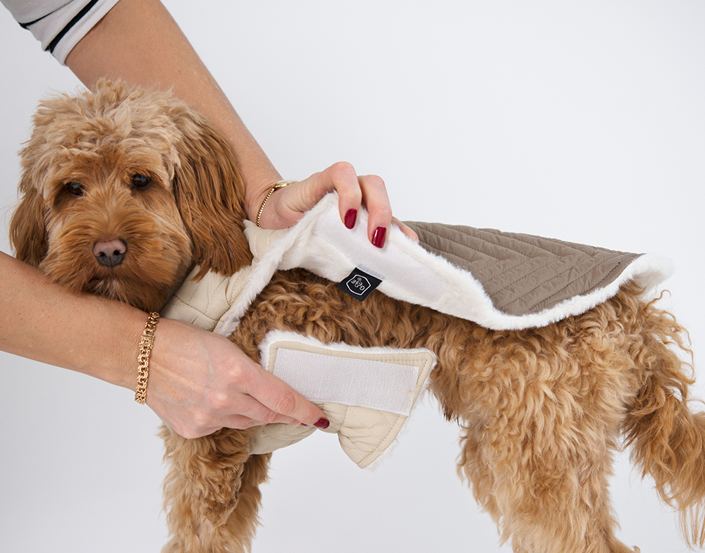 20550, 20551, 20552, 20553, 20554 (2).png