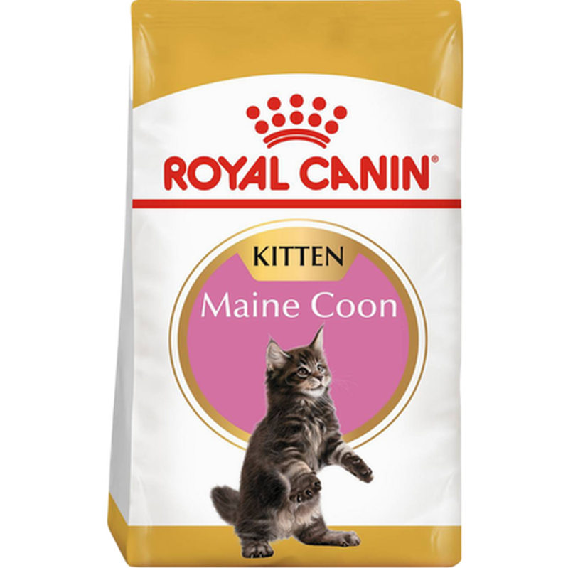 Maine Coon Kitten Torrfoder för kattunge 2 kg - Katt - Kattfoder & kattmat - Torrfoder till katt - Royal Canin - ZOO.se