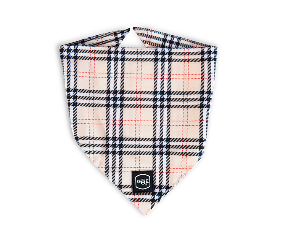 Gustaf och Evita - Bandana Stilish XXS/XS, 48cm Mönstrad - Hund - Hundkläder - ZOO.se
