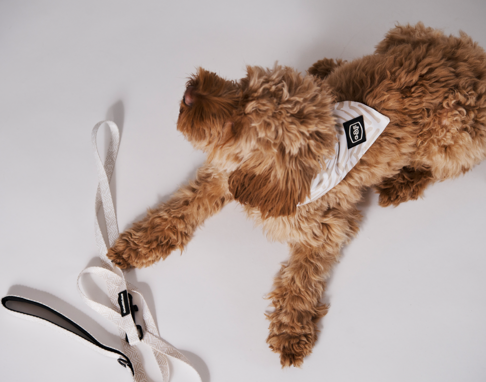 20656, 20657, 20676, 20677.png