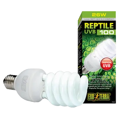 Reptile UVB100 5.0 13 W – Tropical Terrarium Bulb