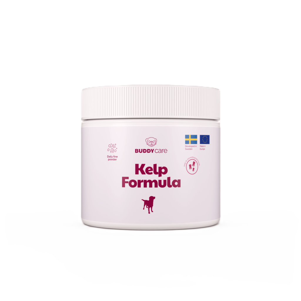 Buddy Pet Foods Kelp Formula 250 g