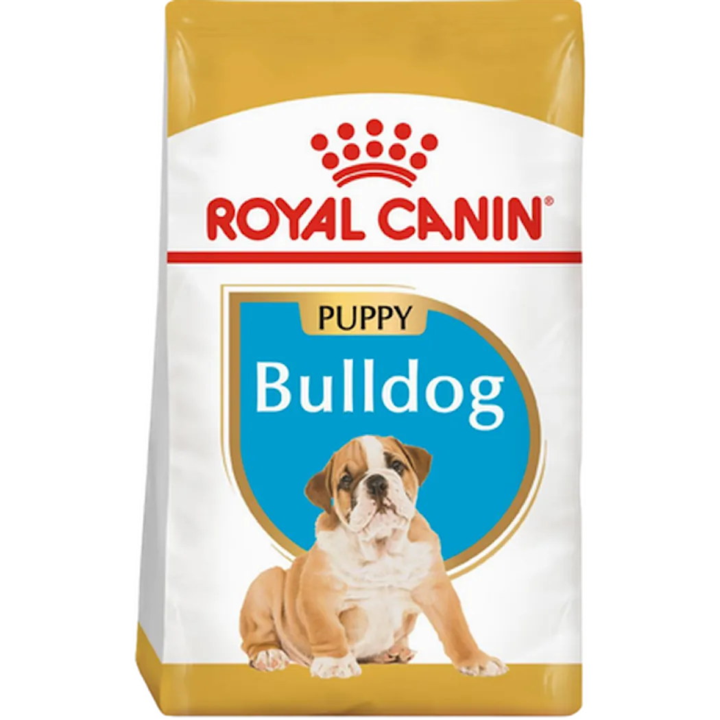 Breed Bulldog Puppy 12 kg