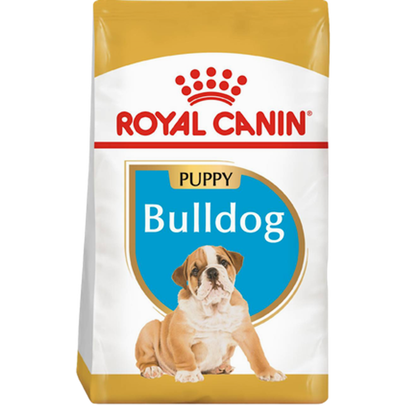 Breed Bulldog Puppy 1 12 kg