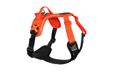 Ramble harness black/orange XL