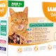 Iams Cat Delights Jelly Multipack Land & Sea 12x85g