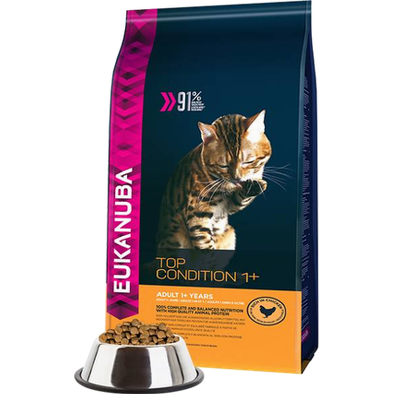 Eukanuba kattfoder best sale