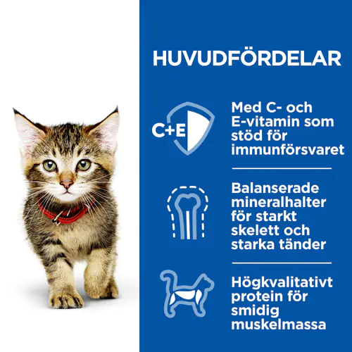 sp-feline-kitten-healthy-cuisine-stew-chicken-ocea