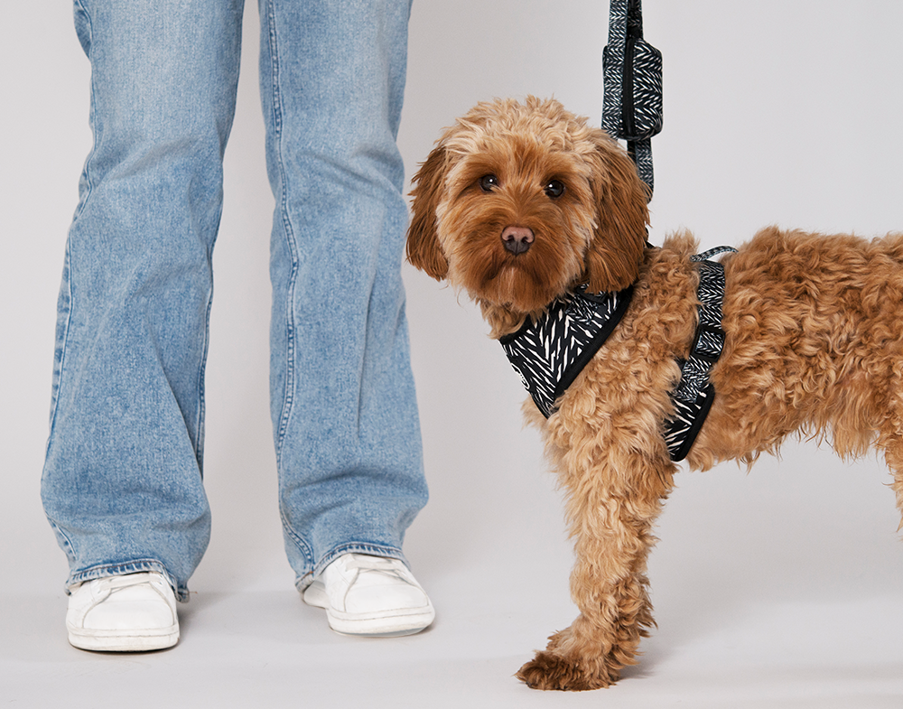 20648, 20649, 20650, 20651, 20660, 20661, 20686.pn