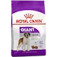 Size Giant Adult 15 kg
