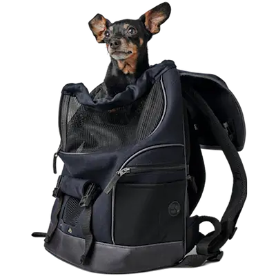 Dog & Cat Carry Bag Backpack Madison