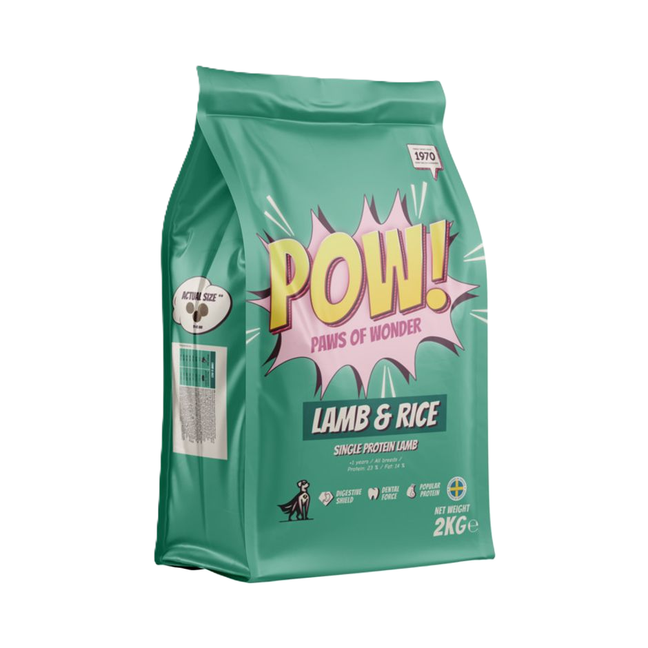 Dog Adult Lamb & Rice 2 kg