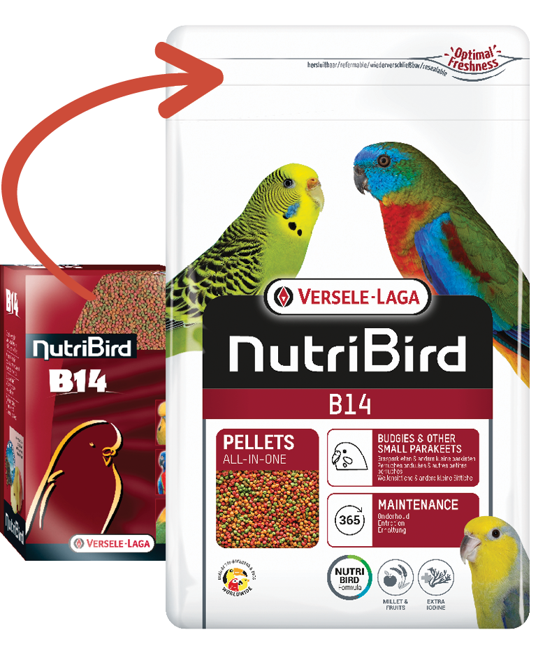 verselelaga_nutribird_b14_birds_pellets_allinone_b