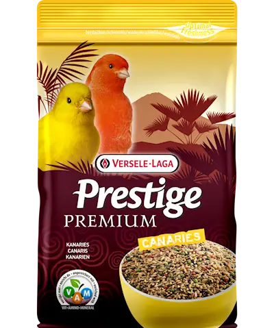Prestige Premium Canary - Kanarialintu