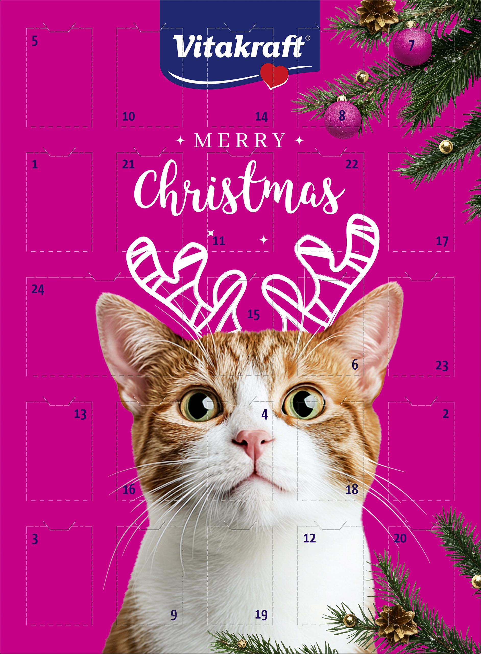 58560_Katt Julkalender 2025.jpg