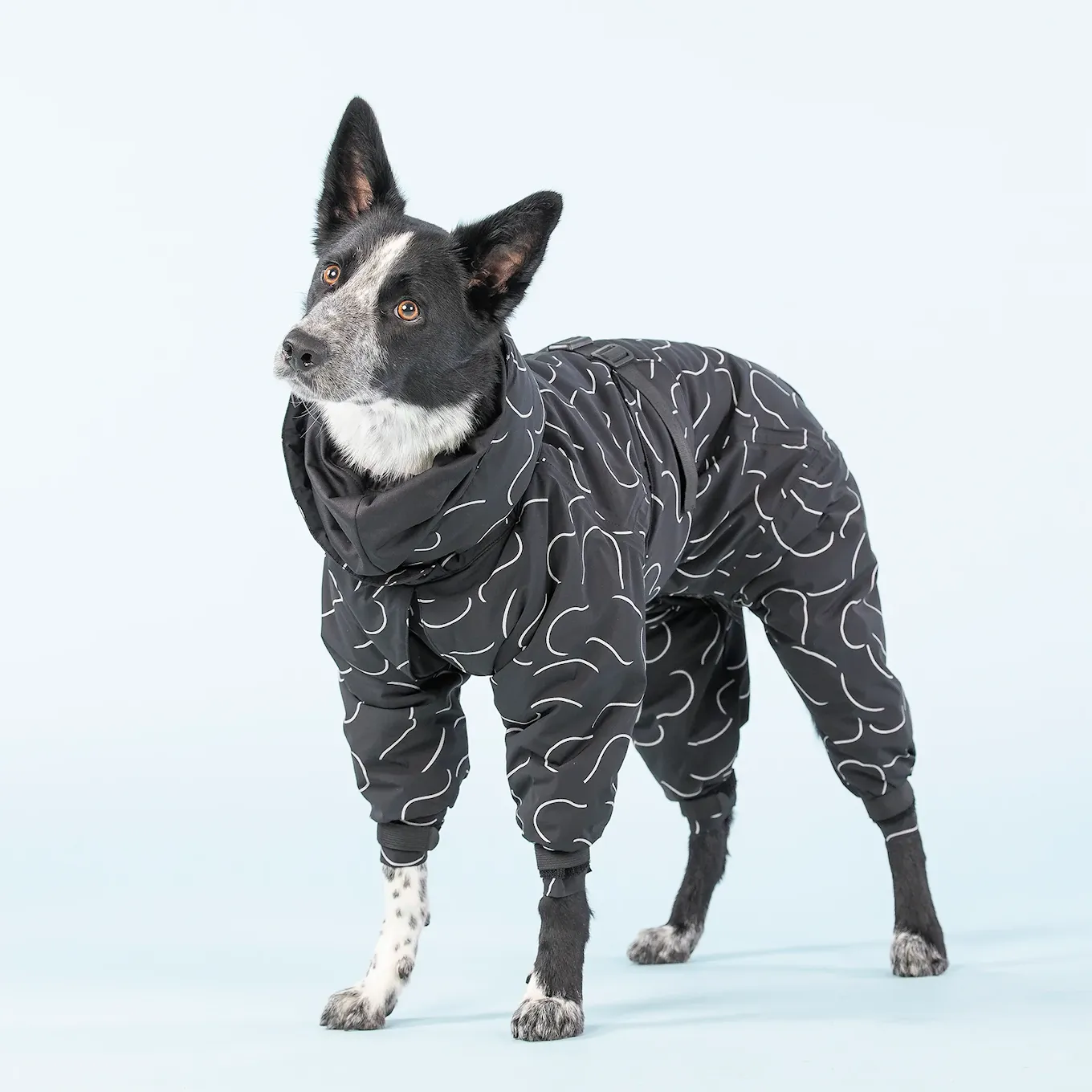 paikka_dog_clothing_overall_jumpsuit_wintercoat_wa