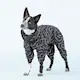 paikka_dog_clothing_overall_jumpsuit_wintercoat_wa