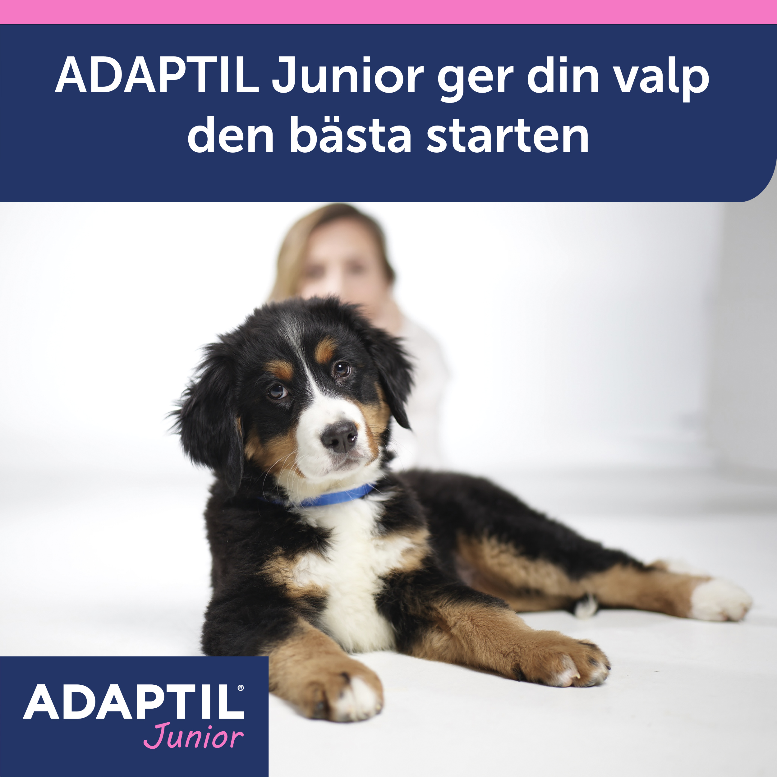 Adaptil Junior halsband_6_3411112940417.jpg