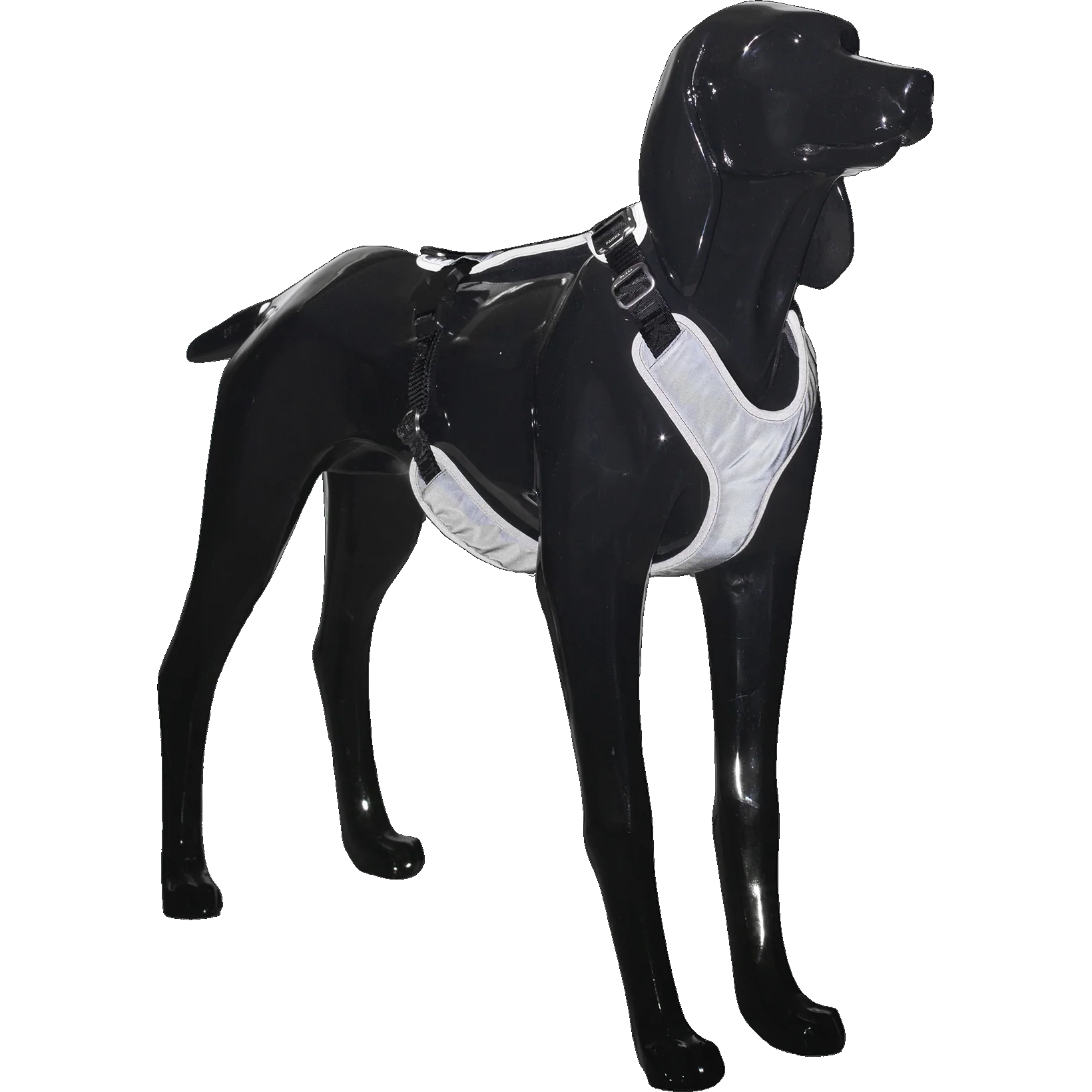 paikka_pet_dog_harness_walking_visibility_reflecti