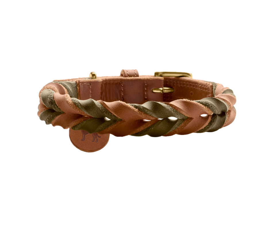 hunter_solid_edu_duo_collar_cognac_olive_1.png
