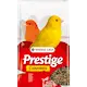 Prestige Canary (Kanarialinnut)
