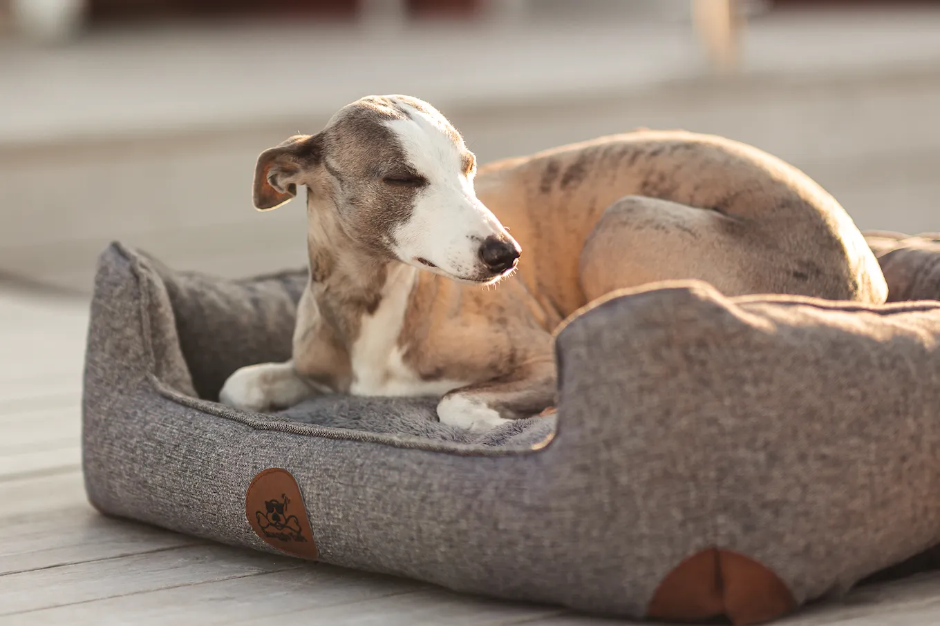 Swaggin Tails Sömnig Dog Bed Space Grey 4.jpg