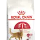 Royal Canin Fit Adult kissan kuivaruoka