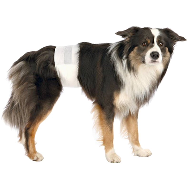 Trixie - Diapers for Male Dogs Disposable Large/ X-Large 60-80 cm - Hund - ZOO.se