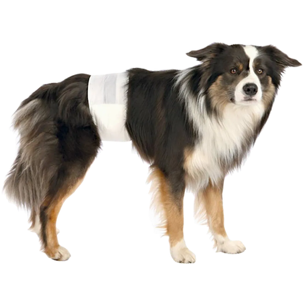 Trixie Dog Care Diapers for Male Dogs Disposable