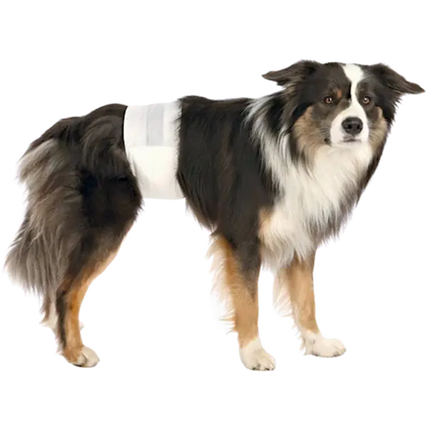 Dog Care Diapers for Male Dogs Disposable