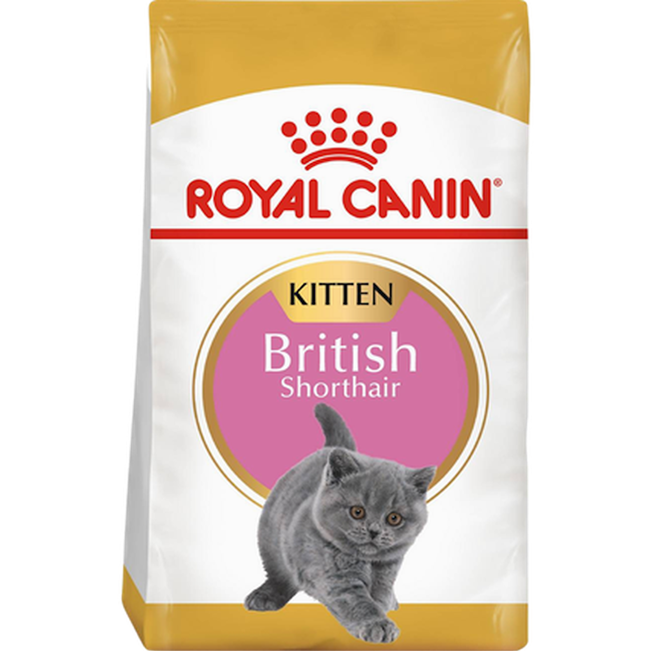 Feline Kitten British Shorthair 2 kg