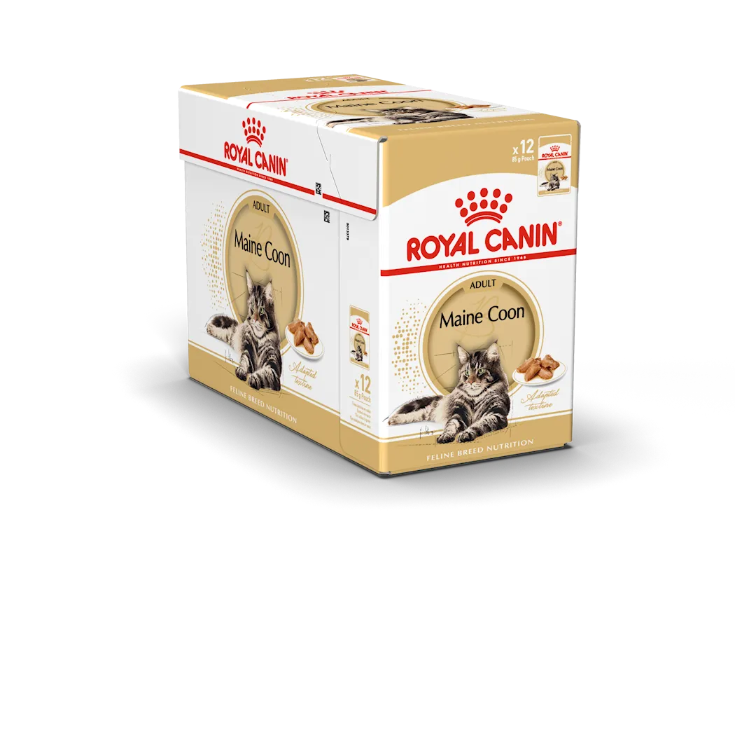 Royal Canin Maine Coon Adult Våtfoder för katt 85 g x 12 st