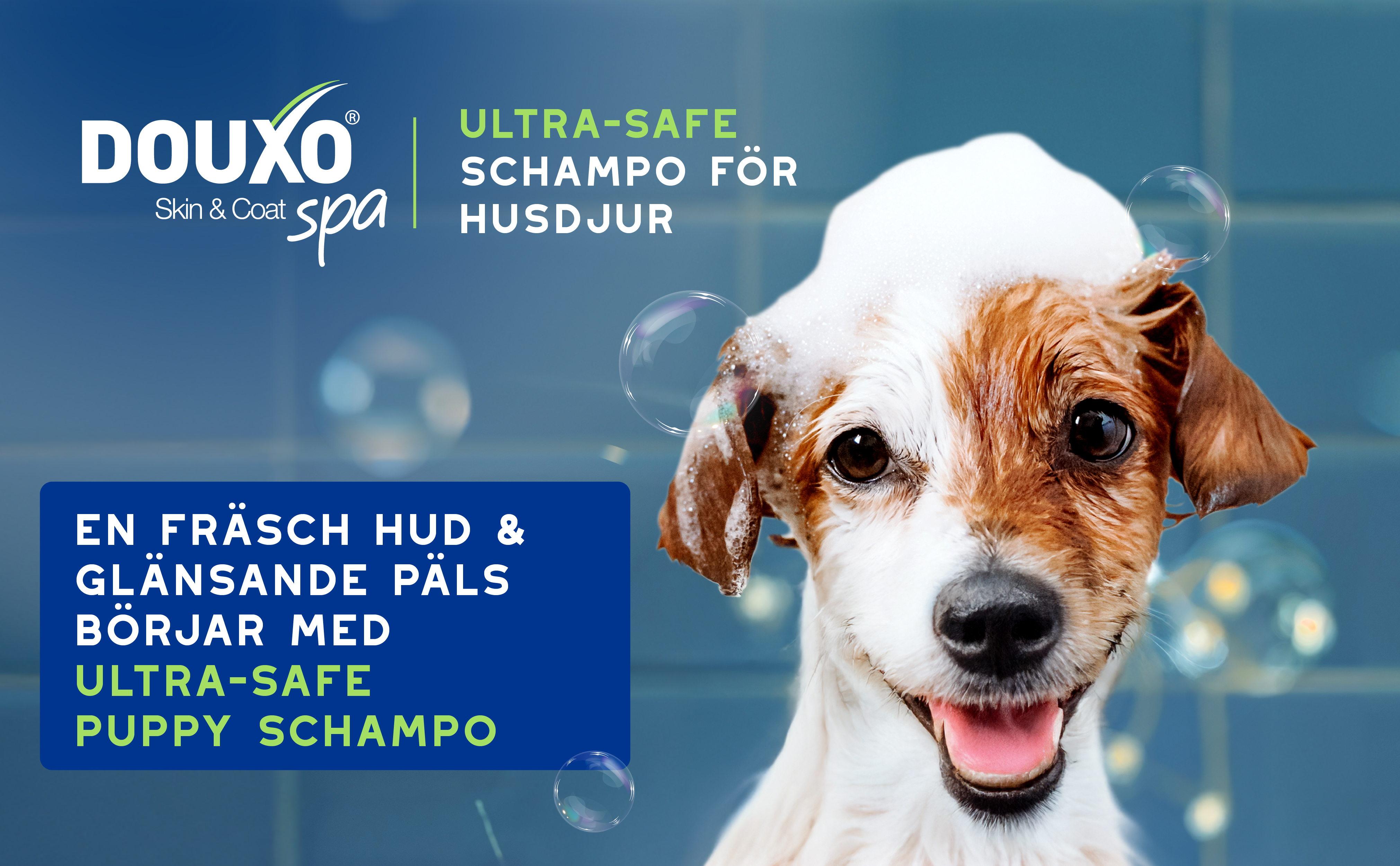 Puppy-schampo-3411113154219-SE_BTF_Banner 1.jpg