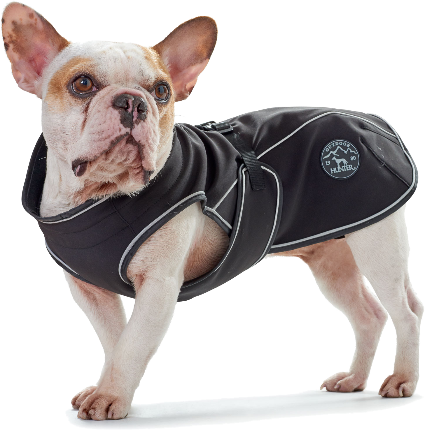 hunter_dog_coat_clothes_softshell_uppsala_black_01