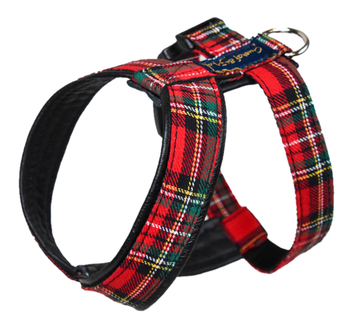 Gustaf och Evita Sele Pro Skinn Svart Skotte Nr 0,5