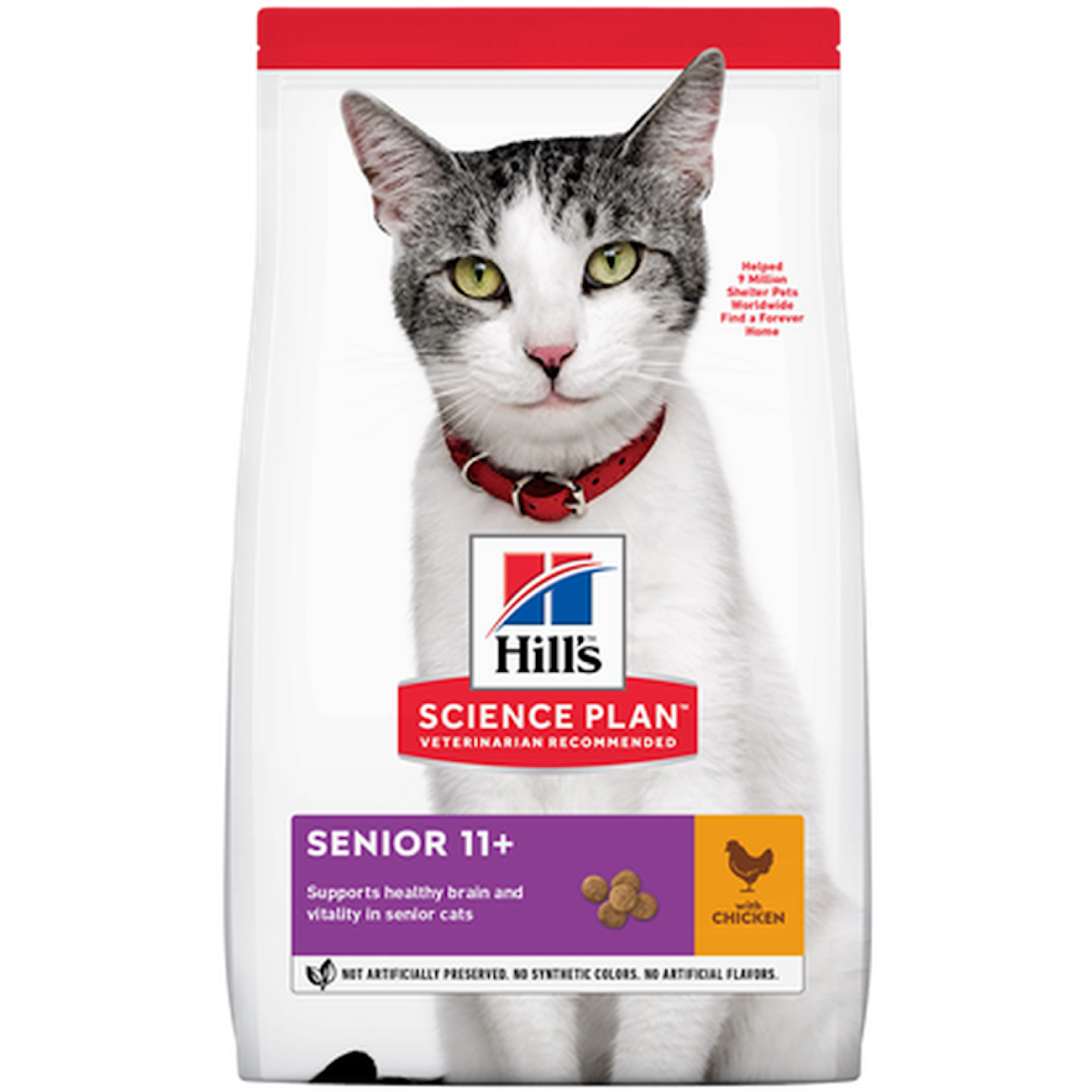 Senior 11+ Healthy Ageing Chicken - Dry Cat Food